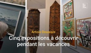Artois-Douaisis : cinq expositions à découvrir pendant les vacances