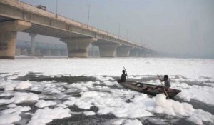 Inde : une mousse toxique recouvre la rivière Yamuna