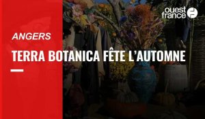 VIDÉO. À Angers, Terra Botanica fête l’automne 