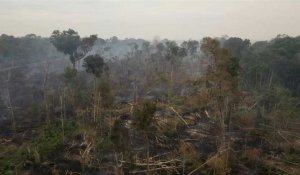 L’Amazonie est-elle sur le point de mourir?