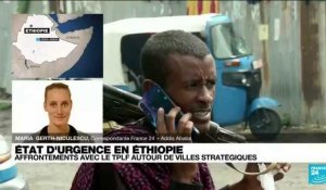 Ethiopie : le pays placé sous état d'urgence suite aux avancées des rebelles