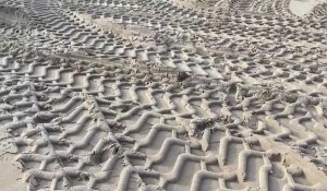 Le Touquet : la plage au lendemain des grandes marées