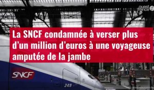 VIDÉO. La SNCF condamnée à verser plus d’un million d’euros à une voyageuse amputée de la jambe