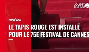 VIDÉO. Cinéma : le tapis rouge est installé pour le 75e Festival de Cannes