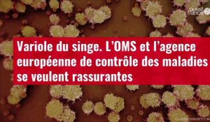 VIDÉO. Variole du singe : l’OMS et l’agence européenne de contrôle des maladies se veulent rassurantes