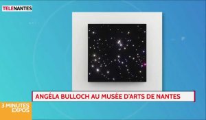 Chronique Expos : Angéla Bulloch expose au musée d'Arts de Nantes