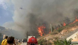 Grèce: évacuations dans la périphérie d'Athènes suite à un incendie de forêt