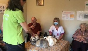 Ardennes: séance de thérapie animale à l'Ehpad de Signy-le-Petit