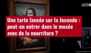 VIDÉO. Une tarte lancée sur la Joconde : peut-on entrer dans le musée avec de la nourriture ?