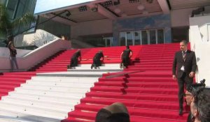 Festival de Cannes: le tapis rouge déroulé sur les marches du Palais