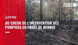 VIDÉO. Incendie en forêt de Rennes : au cœur de l’intervention des pompiers
