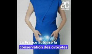 5 infos sur la congélation d'ovocytes en France