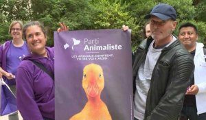 Législatives: l'humoriste Laurent Baffie candidat pour le parti animaliste