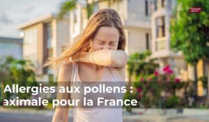 Allergies aux pollens : alerte maximale pour la France 