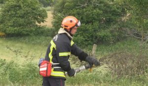 Feux de forêt: une centaine de pompiers de Loire mobilisés pour un exercice grandeur nature