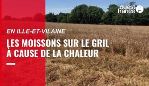 VIDÉO. Moissons en Ille-et-Vilaine : les agriculteurs sur le qui-vive face au risque d'incendie
