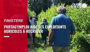 VIDÉO. Dans le Finistère, Partag'emploi veut réduire la précarité du travail saisonnier