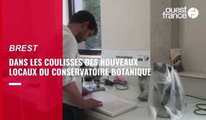 VIDÉO. Un nouvel écrin pour le Conservatoire botanique de Brest