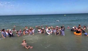 Le bain de mer à la fête des Baigneurs, à Mers-les-Bains, 24 juillet 2022