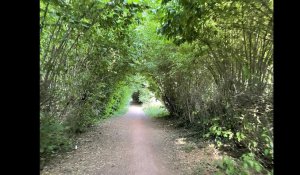 Lens - Hénin : on a testé pour vous la Véloroute du bassin minier jusqu'au Parc des Îles