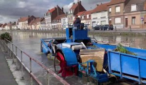 La faucardeuse nettoie la surface du canal à Saint-Omer pour l'arrivée du Cortège nautique