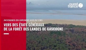 VIDÉO. Incendies en Gironde : vus du ciel, les dégats sont impressionnants