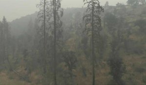 Incendie en Californie: 2 morts et 22.500 hectares partis en fumée