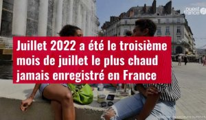 VIDÉO. Juillet 2022 a été le troisième mois de juillet le plus chaud jamais enregistré en France