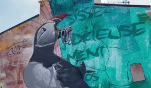  Festival de street art de Boulogne : l'artiste Herakut entre en piste