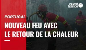 VIDÉO. Un nouveau feu de forêt s'est déclaré au Portugal, en proie à de fortes chaleurs