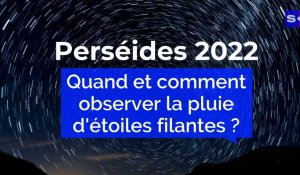 Perséides 2022 : comment observer la pluie d'étoiles filantes ?