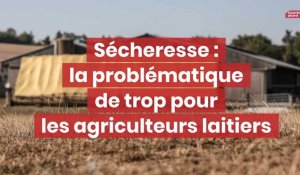 Sécheresse : la problématique de trop pour les agriculteurs laitiers