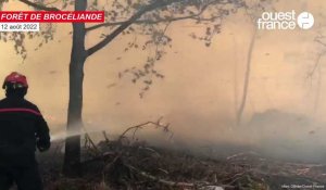 VIDÉO. Incendie à Brocéliande : le vent complique le travail des pompiers