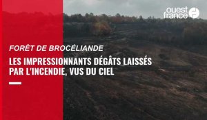 VIDÉO. Les impressionnants dégâts de l'incendie en forêt de Brocéliande, vus du ciel