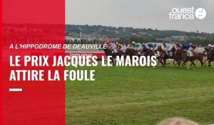 VIDÉO. Le prix Jacques Le Marois attire la foule à l'hippodrome de Deauville