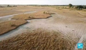 Hongrie : des lacs disparaissent à cause d'une vague de sécheresse inédite