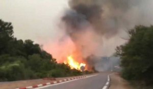 Au moins 38 personnes ont péri dans des incendies au nord de l'Algérie