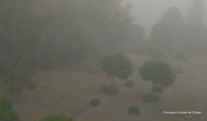 VIDEO. Un village des Deux-Sèvres victime d'un violent orage de grêle