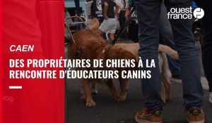 VIDÉO. À Caen, ces propriétaires apprennent à éduquer leurs chiens auprès d'éducateurs