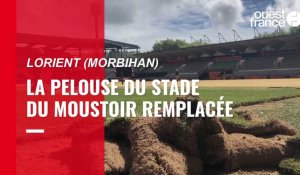 VIDÉO. À Lorient, la pelouse du stade du Moustoir remplacée : qui paiera la facture ?