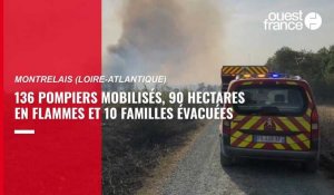 VIDÉO. 136 pompiers mobilisés, 90 hectares en flammes et 10 familles évacuées à Montrelais (Loire-Atlantique)