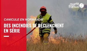 VIDÉO. Canicule en Normandie : en cette mi-juillet, les incendies se déclenchent en série