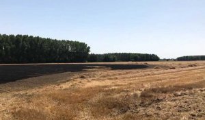 Incendie dans un champ de 5 hectares de chaumes à Sainghin-en-Weppes