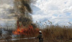 Incendies en Europe : la France, l'Espagne et le Portugal en flammes