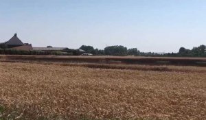 Setques: deux hectares de blé partent en fumée