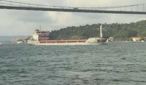 Le premier navire céréalier sous pavillon turc à quitter l'Ukraine traverse le détroit du Bosphore