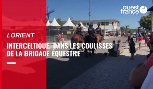 VIDÉO. Festival Interceltique de Lorient : dans les coulisses de la brigade équestre