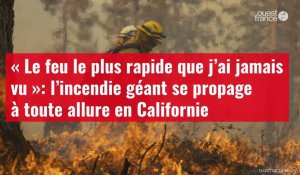 VIDÉO. « Le feu le plus rapide que j’ai jamais vu»: l’incendie géant se propage à toute allure en Californie