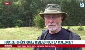 Feux de forêts: quels risques pour la Wallonie ? 