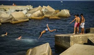 Bien trop chaude Méditerranée à 30 degrés, écosystèmes en danger
